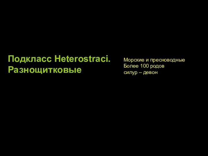 Подкласс Heterostraci. Разнощитковые Морские и пресноводные Более 100 родов силур – девон