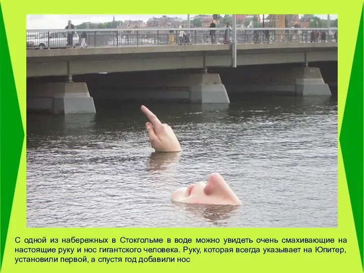 С одной из набережных в Стокгольме в воде можно увидеть очень смахивающие на