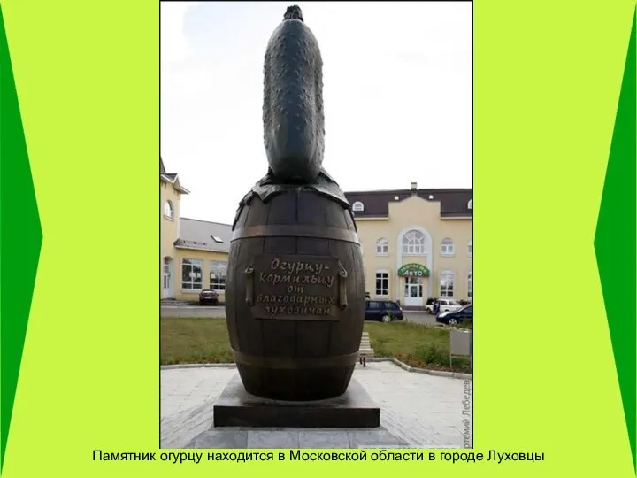 Памятник огурцу находится в Московской области в городе Луховцы