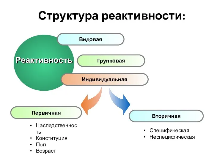 Структура реактивности: Видовая Групповая Индивидуальная Первичная Вторичная Реактивность Наследственность Конституция Пол Возраст Специфическая Неспецифическая