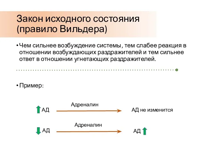 Закон исходного состояния (правило Вильдера) Чем сильнее возбуждение системы, тем