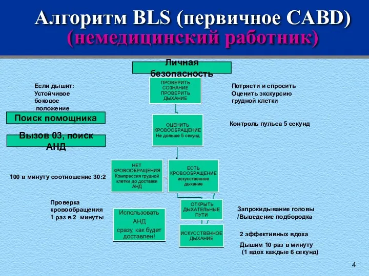 Алгоритм BLS (первичное CABD) (немедицинский работник) Потрясти и спросить Оценить