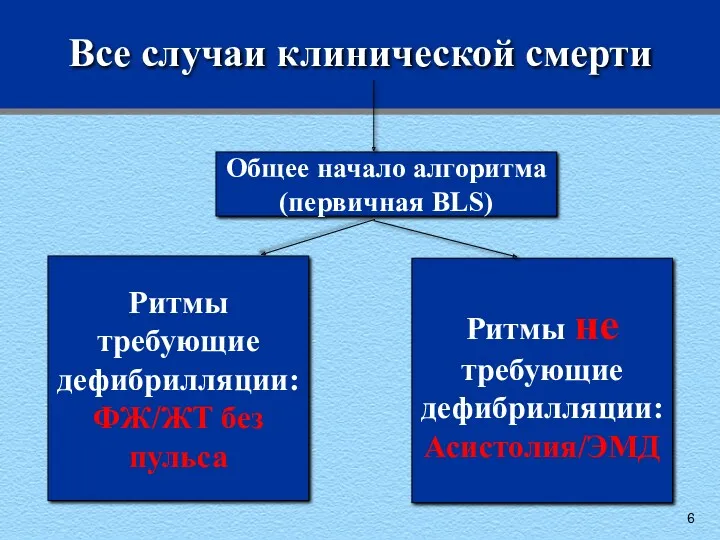 Все случаи клинической смерти Ритмы требующие дефибрилляции: ФЖ/ЖТ без пульса