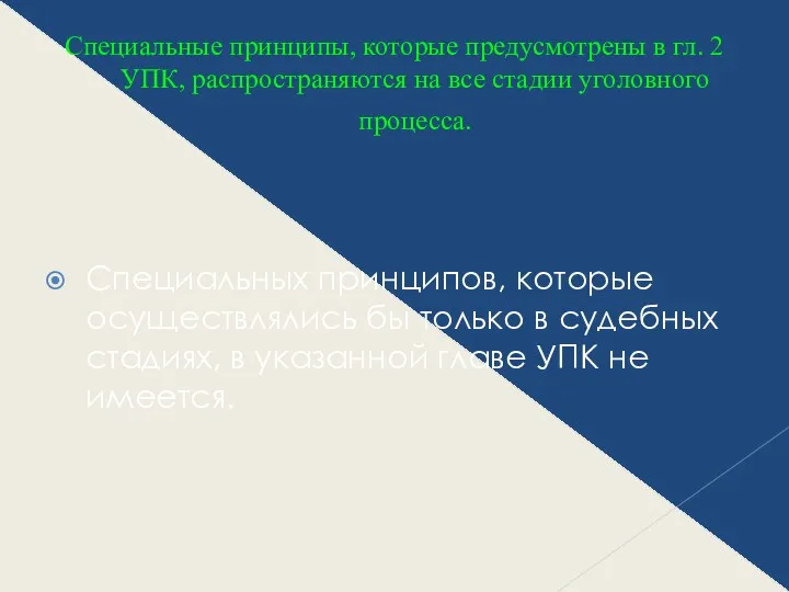 Специальные принципы, которые предусмотрены в гл. 2 УПК, распространяются на