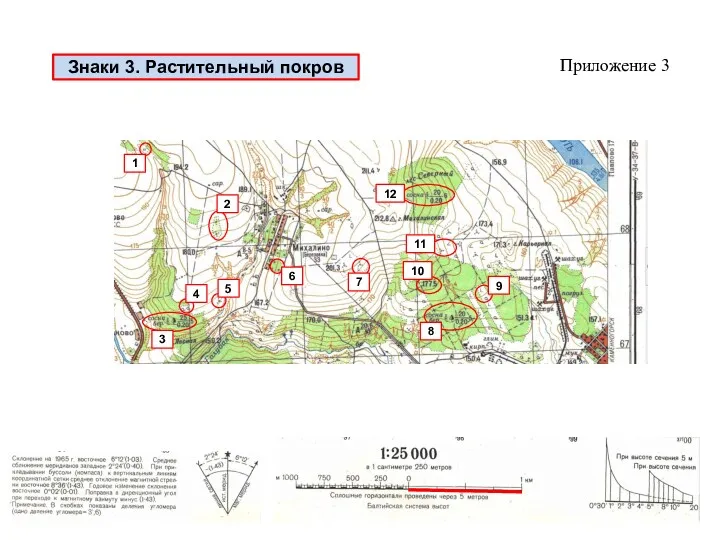 Знаки 3. Растительный покров Приложение 3