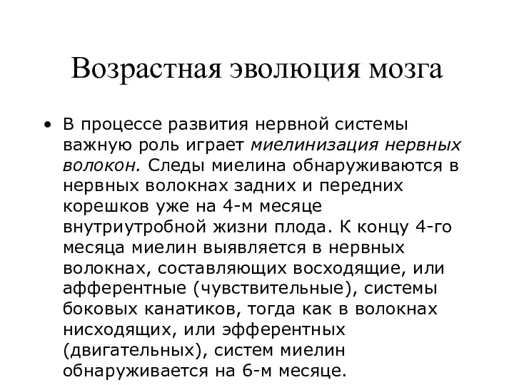 Возрастная эволюция мозга В процессе развития нервной системы важную роль