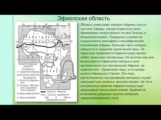 Эфиопская область Область охватывает материк Африки к югу от пустыни