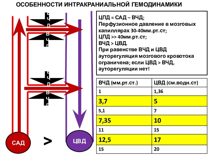 ВЧД ВЧД ВЧД ВЧД САД ЦВД ОСОБЕННОСТИ ИНТРАКРАНИАЛЬНОЙ ГЕМОДИНАМИКИ ЦПД