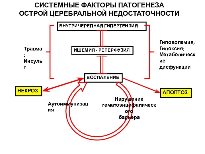 Травма; Инсульт Гиповолемия; Гипоксия; Метаболические дисфункции ВОСПАЛЕНИЕ ИШЕМИЯ - РЕПЕРФУЗИЯ