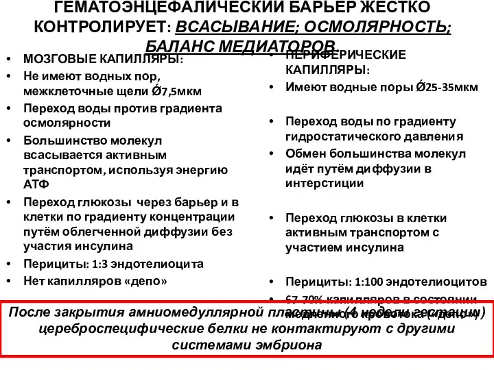 ГЕМАТОЭНЦЕФАЛИЧЕСКИЙ БАРЬЕР ЖЁСТКО КОНТРОЛИРУЕТ: ВСАСЫВАНИЕ; ОСМОЛЯРНОСТЬ; БАЛАНС МЕДИАТОРОВ. МОЗГОВЫЕ КАПИЛЛЯРЫ: