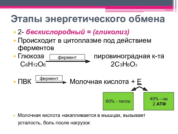 Этапы энергетического обмена 2- бескислородный = (гликолиз) Происходит в цитоплазме