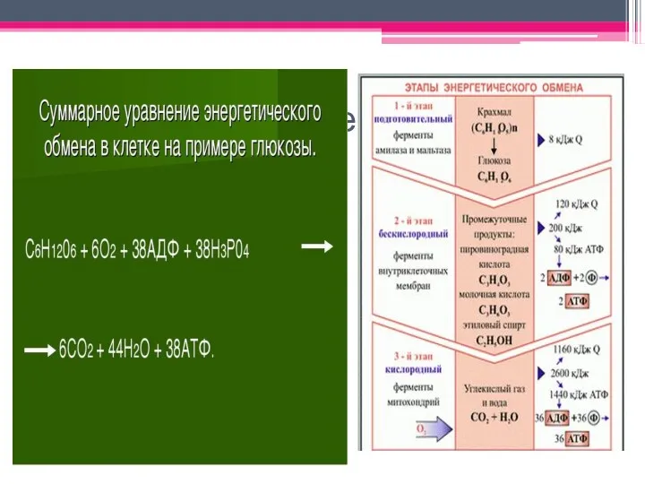 Суммарное уравнение