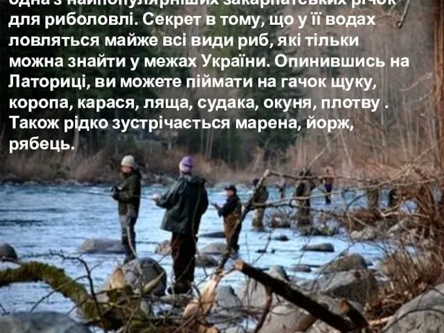 Латориця – справжній магніт для рибалок, це одна з найпопулярніших