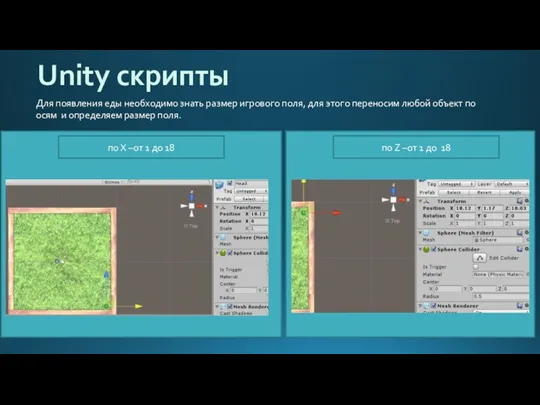 Unity скрипты Для появления еды необходимо знать размер игрового поля,