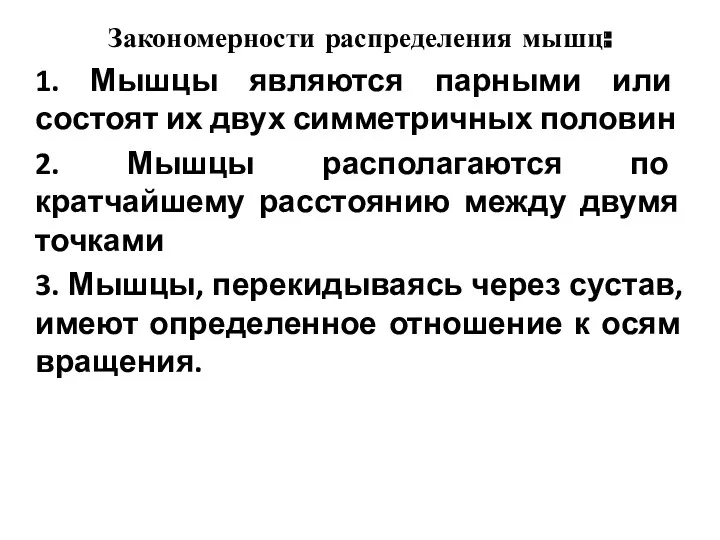 Закономерности распределения мышц: 1. Мышцы являются парными или состоят их