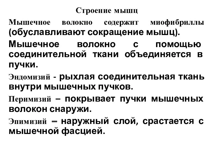 Строение мышц Мышечное волокно содержит миофибриллы (обуславливают сокращение мышц). Мышечное