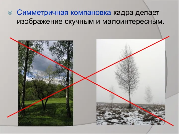 Симметричная компановка кадра делает изображение скучным и малоинтересным.