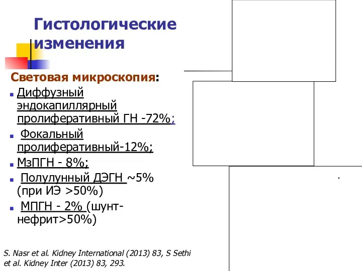 Гистологические изменения d e f S. Nasr et al. Kidney