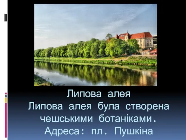 Липова алея Липова алея була створена чешськими ботаніками. Адреса: пл. Пушкіна