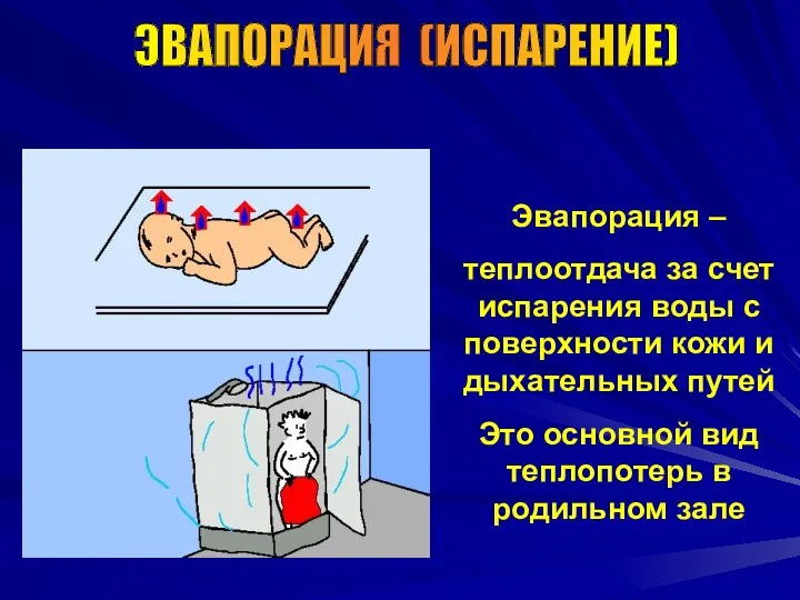 ЭВАПОРАЦИЯ (ИСПАРЕНИЕ) Эвапорация – теплоотдача за счет испарения воды с