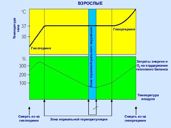 Гипертермия Гипотермия Затраты энергии и О2 на поддержание теплового баланса