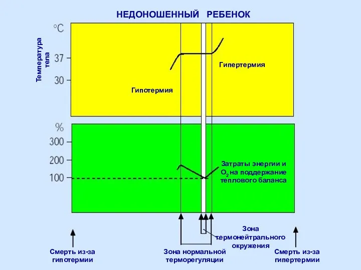 Гипотермия Гипертермия Затраты энергии и О2 на поддержание теплового баланса