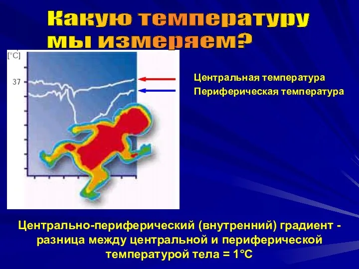 Центральная температура Периферическая температура Какую температуру мы измеряем? Центрально-периферический (внутренний)