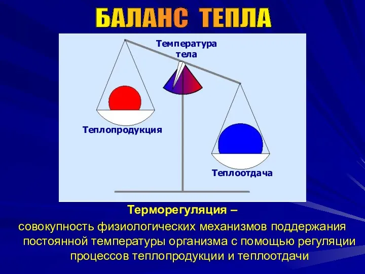 БАЛАНС ТЕПЛА Температура тела Теплопродукция Теплоотдача Терморегуляция – совокупность физиологических