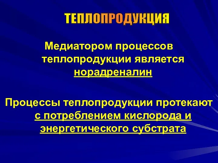 Медиатором процессов теплопродукции является норадреналин Процессы теплопродукции протекают с потреблением кислорода и энергетического субстрата ТЕПЛОПРОДУКЦИЯ