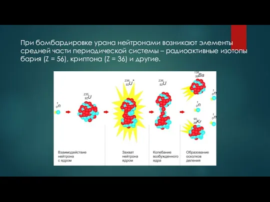 При бомбардировке урана нейтронами возникают элементы средней части периодической системы