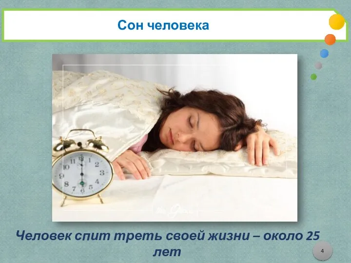 Сон человека Человек спит треть своей жизни – около 25 лет