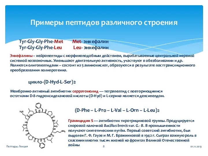 Примеры пептидов различного строения Энкефалины – нейропептиды с морфиноподобным действием,