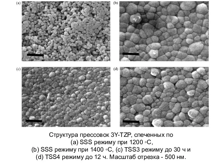 Структура прессовок 3Y-TZP, спеченных по (a) SSS режиму при 1200