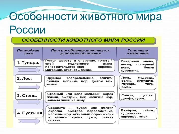 Особенности животного мира России