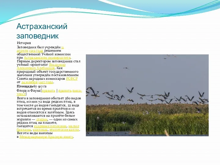 Астраханский заповедник История Заповедник был учреждён 11 апреля 1919 года
