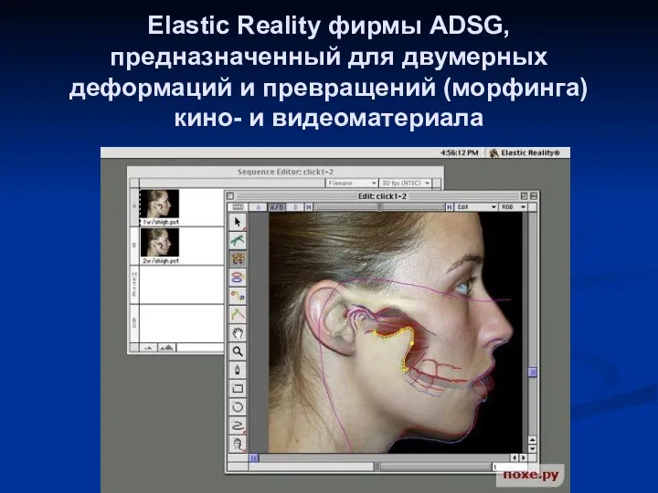 Elastic Reality фирмы ADSG, предназначенный для двумерных деформаций и превращений (морфинга) кино- и видеоматериала