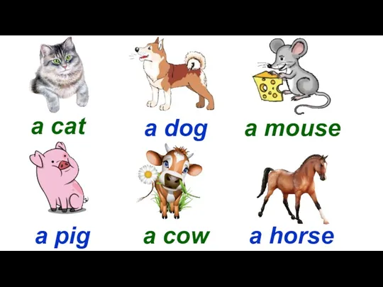 a cat a dog a mouse a pig a cow a horse