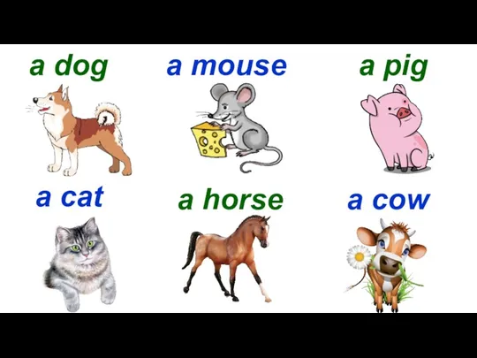 a dog a mouse a pig a cat a horse a cow