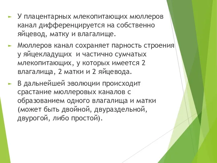 У плацентарных млекопитающих мюллеров канал дифференцируется на собственно яйцевод, матку и влагалище. Мюллеров