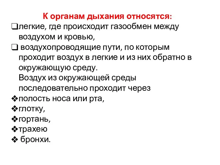 К органам дыхания относятся: легкие, где происходит газообмен между воздухом