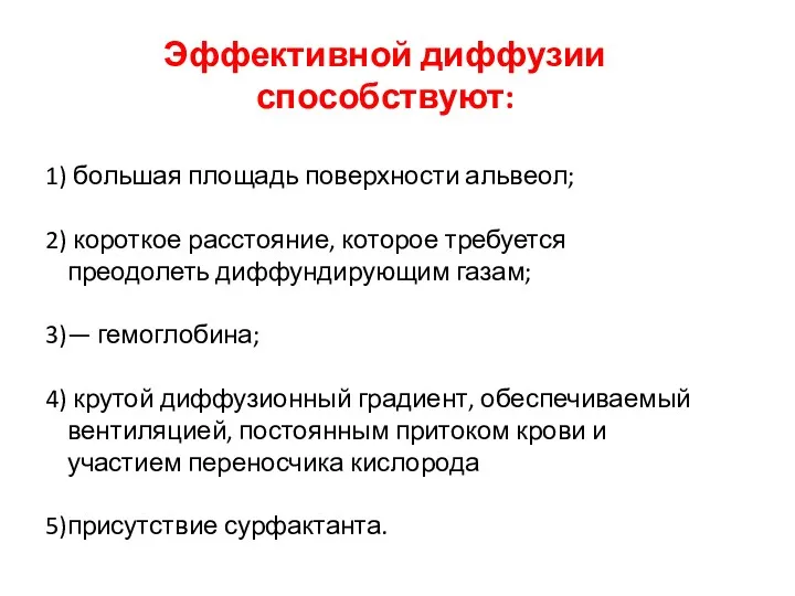 Эффективной диффузии способствуют: большая площадь поверхности альвеол; короткое расстояние, которое