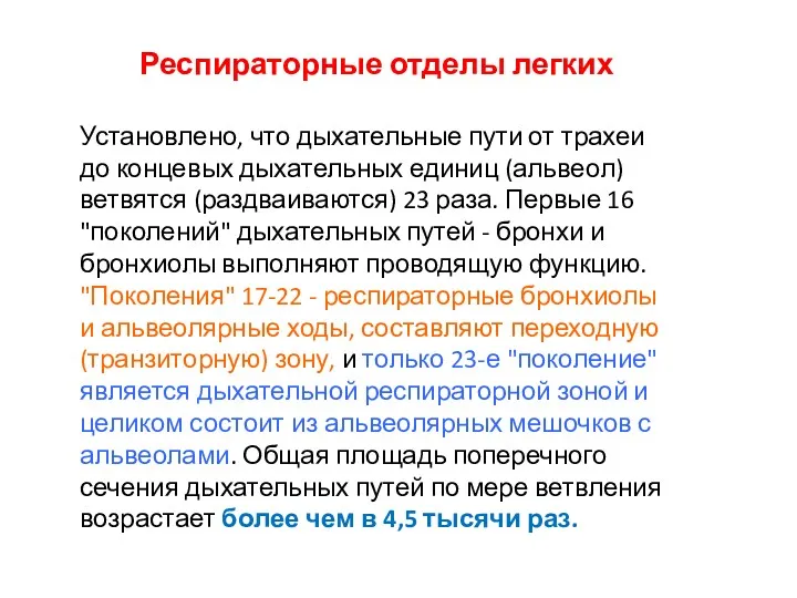 Респираторные отделы легких Установлено, что дыхательные пути от трахеи до