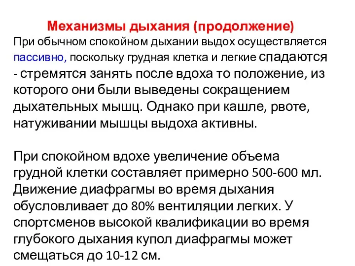 Механизмы дыхания (продолжение) При обычном спокойном дыхании выдох осуществляется пассивно,