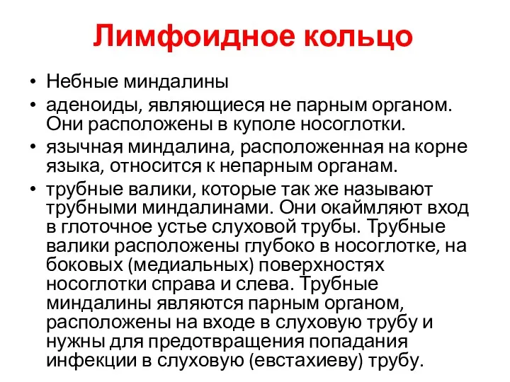 Лимфоидное кольцо Небные миндалины аденоиды, являющиеся не парным органом. Они