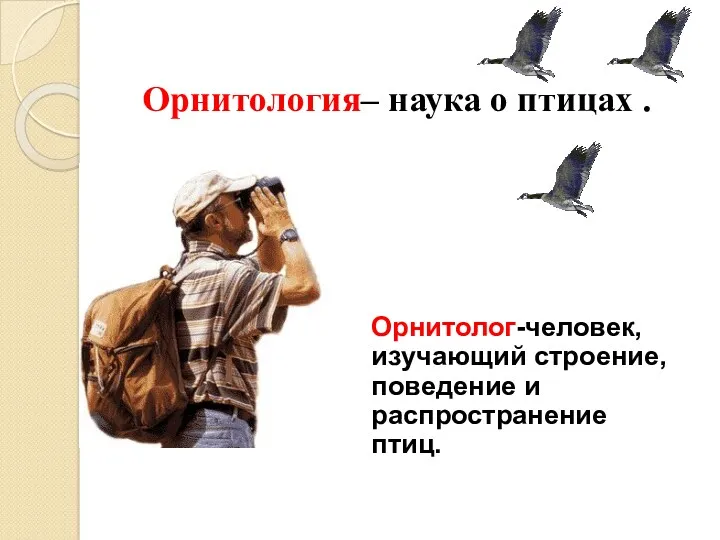 Орнитология– наука о птицах . Орнитолог-человек, изучающий строение, поведение и распространение птиц.