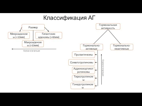 Классификация АГ