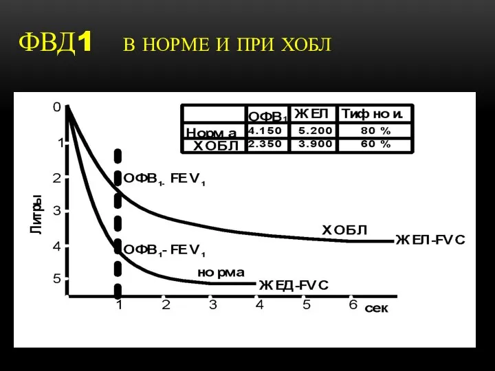 ФВД1 В НОРМЕ И ПРИ ХОБЛ