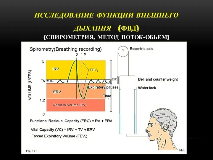 ИССЛЕДОВАНИЕ ФУНКЦИИ ВНЕШНЕГО ДЫХАНИЯ (ФВД) (СПИРОМЕТРИЯ, МЕТОД ПОТОК-ОБЬЕМ)