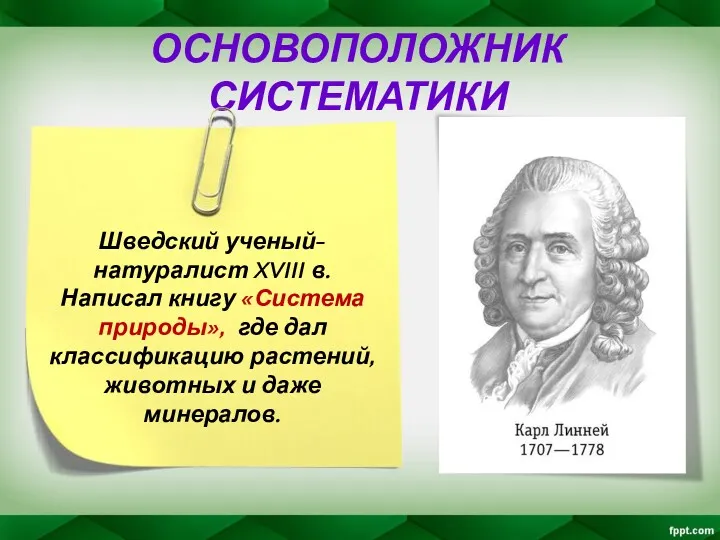 ОСНОВОПОЛОЖНИК СИСТЕМАТИКИ Шведский ученый-натуралист XVIII в. Написал книгу «Система природы»,