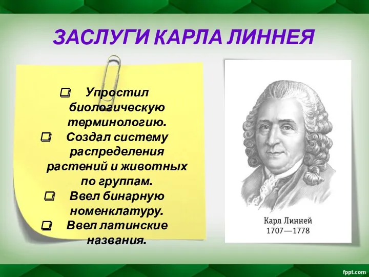 ЗАСЛУГИ КАРЛА ЛИННЕЯ Упростил биологическую терминологию. Создал систему распределения растений